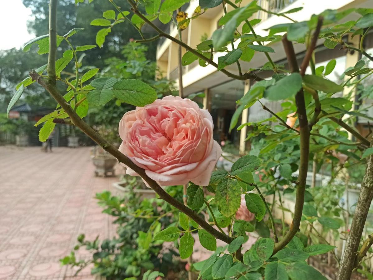 Aku House Villa Ao Vua Ba Vi Eksteriør bilde